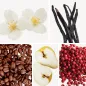 Preview: Duftnoten: Vanille, Kaffee, Jasmin, Birne, rosa Pfeffer